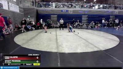 106 lbs Cons. Round 3 - Cole Glaspie, Weiser vs Wyatt Pearson, Jet House