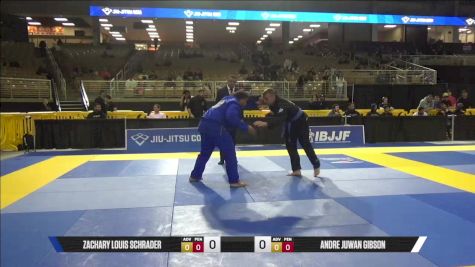 Andre Juwan Gibson vs Zachary Louis Schrader 2025 Pan Jiu Jitsu IBJJF Championship