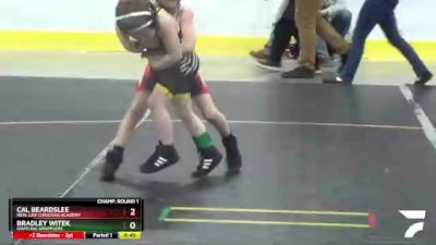 49 lbs Champ. Round 1 - Bradley Witek, Grayling Grapplers vs Cal Beardslee, Real Life Christian Academy