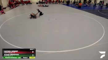 75 lbs Semis (4 Team) - Ethan Brinkman, Little Falls vs Hayden Hiebert, LPGE/B Wolves