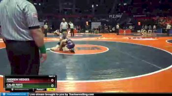 1 lbs Cons. Round 1 - Caleb Mays, Anna (Jonesboro) vs Andrew Hedges, Canton