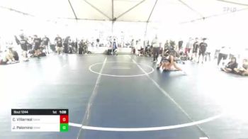 114 lbs Final - Cristian Villarreal, Snake Pit vs Javian Palomino, Snake Pit