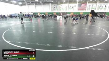 125 lbs Cons. Round 3 - Anthonty Ruzic, Illinois vs Drew Dolphin, UW-Parkside