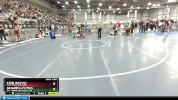 119 lbs Quarterfinal - Ladd Holman, Juab Wrestling Club vs Brenden Holstad, Mat Demon Wrestling Club