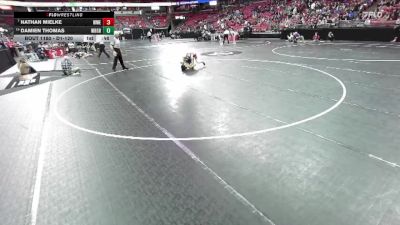 D1-120 lbs Cons. Round 1 - Nathan Mielke, Wauwatosa West/East vs Damien Thomas, Whitnall/Greendale