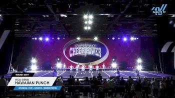 HCA Gems - Hawaiian Punch [2024 L1 Tiny - Novice - Restrictions Day 1] 2024 Cheer Power Grand Nationals