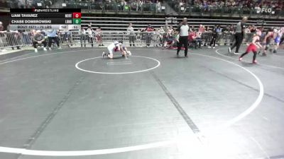 75 lbs Quarterfinal - Liam Tavarez, North Bergen vs Chase Dombrowski, Long Valley