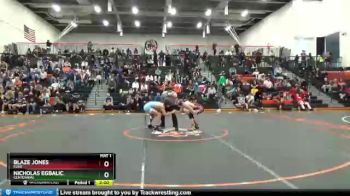 132 lbs Quarterfinal - Blaze Jones, Elko vs Nicholas Egbalic, Centennial