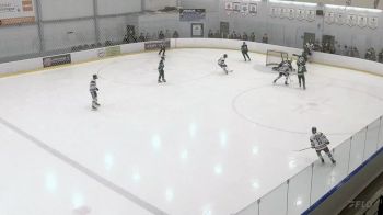 Replay: Home - 2025 PCHA vs St. Mary's U17 | Feb 20 @ 2 PM