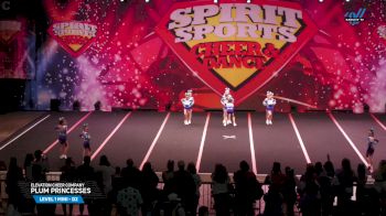 Elevation Cheer Company - Plum Princesses [2025 L1 Mini - D2 Day 2] 2025 Spirit Sports Myrtle Beach Nationals