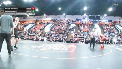 175 lbs Quarterfinals (8 Team) - Brogan Haas, Brighton vs Julius Pacheco, Davison