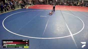 40 lbs Quarterfinal - Ben Kraemer, Rocori vs Jacob Marthaler, Perham