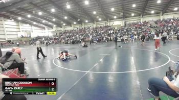 123 lbs Champ. Round 3 - Brigham Cookson, Mountain View vs Gavin Early, Layton