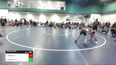 75 lbs Consi Of 16 #2 - Chet Nelson, NC vs Aria Bushaw, SC