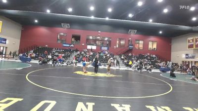 138 lbs Cons. Semi - Carina Giangeruso, Presbyterian vs Stephanie Noel, Randolph