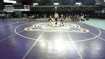 110 lbs Final - Madi Beck, Rock Hill vs Kylee Price, Abbeville