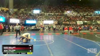 AA - 120 lbs Champ. Round 1 - Kade Wallace, Missoula Sentinel vs Ross Tolliver, Great Falls / MSDB