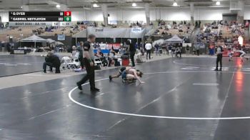 AA 106 lbs Semifinal - Q Dyer, Bradley Central High School vs Gabriel Nettleton, Arlington High School