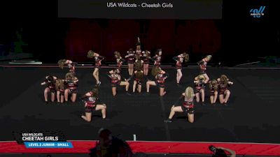 USA Wildcats - Cheetah Girls [2025 L2 Junior - Small Prelims] 2025 The Summit