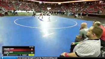 D1-132 lbs Champ. Round 1 - Sabri Sino, Franklin vs Caleb Cady, Pewaukee