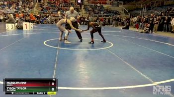 133 lbs Cons. Round 1 - Tyson Taylor, Williston vs Marques Cine, Davies