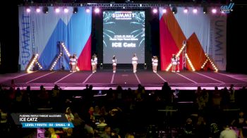 Florida Triple Threat Allstars - ICE Catz [2025 L1 Youth - D2 - Small - B Day 2] 2025 The Youth Summit