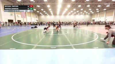 132 lbs Consi Of 64 #2 - Michael Timpone, NJ vs Triston Johnson, SC