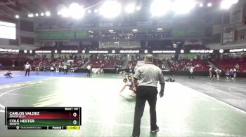 145 lbs Semifinal - Cole Hester, Emmett vs Carlos Valdez, Bishop Kelly