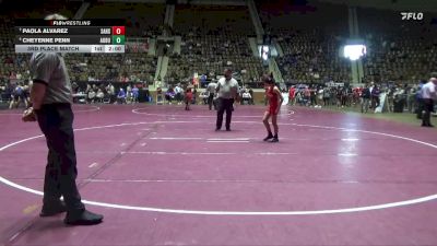 6-7A 100 3rd Place Match - Cheyenne Penn, Auburn vs Paola Alvarez, Saraland