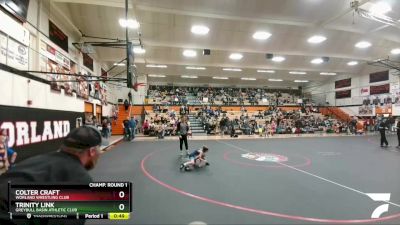 49 lbs Champ. Round 1 - Colter Craft, Worland Wrestling Club vs Trinity Link, Greybull Basin Athletic Club