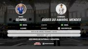 Lorenzo Gudes Do Amaral Mendes vs Isaac Seabra 2025 ADCC Brazilian Nationals