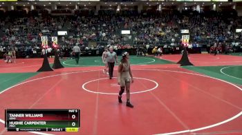 96 lbs Champ. Round 2 - Hughie Carpenter, PBG1 vs Tanner Williams, GEN2