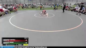 100 lbs Round 5 (6 Team) - Anthony Ciotoli, Virginia vs Kiernan Meink, Nebraska