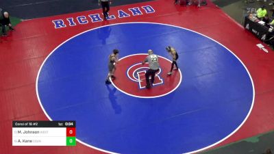 96 lbs Consi Of 16 #2 - Michael Johnson, West Allegheny vs Aj Kane, Council Rock North