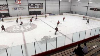 Replay: Home - 2025 5B Selects vs Swan Hcky | May 9 @ 8 AM