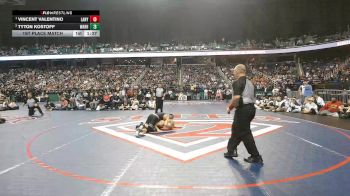 8A 144 lbs 1st Place Match - Vincent Valentino, Laney vs Tyton Kostoff, William Amos Hough High School