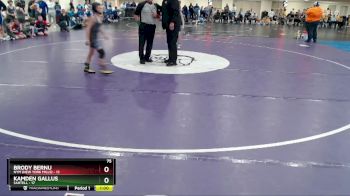 75 lbs Quarterfinals (8 Team) - Kamden Gallus, Sartell vs Brody Bernu, NYM (New York Mills)