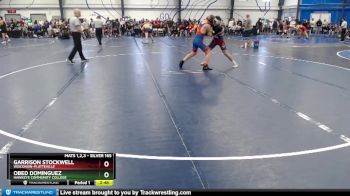 Silver 165 lbs Cons. Round 2 - Garrison Stockwell, Wisconsin-Platteville vs Obed Dominguez, Hawkeye Community College