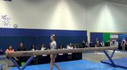 Aerial Athletics (Braie Speed)