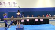 Metroplex (Lizzy LeDuc) 9.625 BB