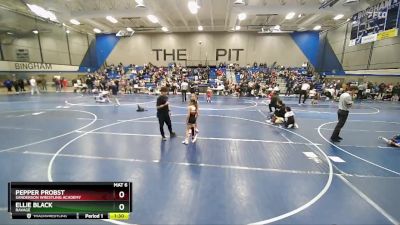 65 lbs Round 2 - Pepper Probst, Sanderson Wrestling Academy vs Ellie Black, Ravage