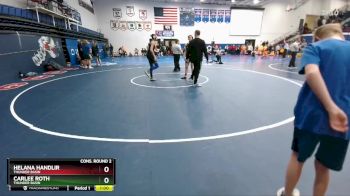 130 lbs Cons. Round 2 - Carlee Roth, Thunder Basin vs Helana Handlir, Thunder Basin