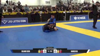 Hamlin Ha vs Siliang Chen 2025 World IBJJF Jiu-Jitsu No-Gi Championship