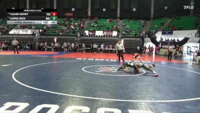 6A 113 lbs Cons. Round 3 - Lopez Rice, Mae Jemison vs Caleb Hovey, Pell City