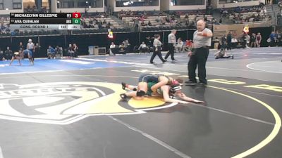 100 lbs Cons. Round 1 - Michaelynn Gillespie, Perryville vs Ava Quinlan, Arundel