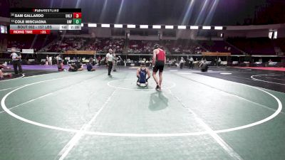 157 lbs Consi Of 8 #2 - Sam Gallardo, UNLV vs Cole Misciagna, North Florida