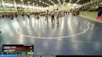 215 lbs Cons. Round 5 - Lane Despain, Summit Academy vs Camren Jones, Springville