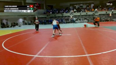 215 lbs Finals (8 Team) - Cade Billmeier, Wabasso vs Lucas Anderson, K-M
