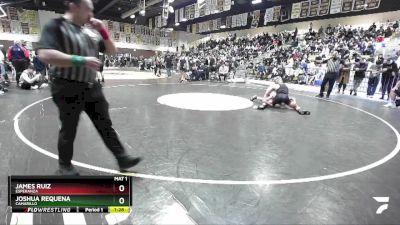 138 lbs Semifinal - Joshua Requena, Camarillo vs James Ruiz, Esperanza