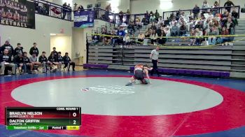 120 lbs Quarters & 1st Wb (16 Team) - Braelyn Nelson, Gilmer County vs Dalton Griffin, LaFayette